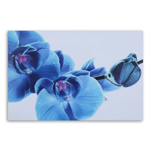 Obraz na plátně Orchidej Květy Modrá