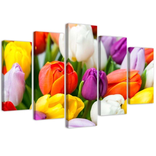 Obraz na plátně pětidílný Barevné tulipány Květiny