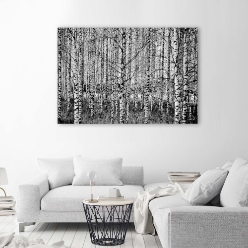 Obraz na plátně Březový les