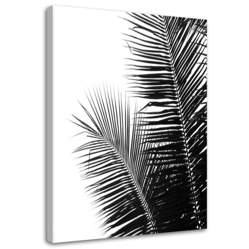 Obraz na plátně Palm Leaf Black White