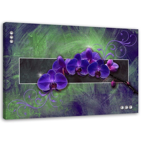 Obraz na plátně Orchidej Květina Příroda Fialová