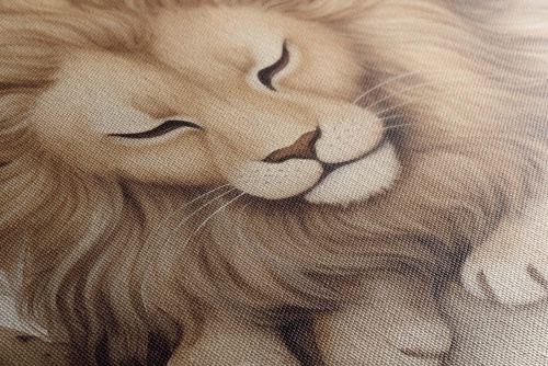 Obraz zasnený lev