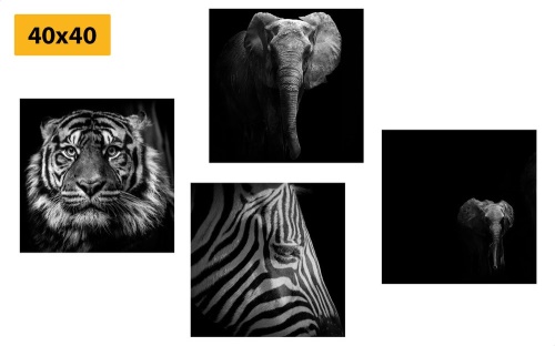 Set obrazov zvieratá v čiernobielom štýle