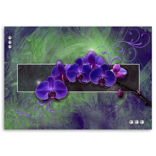 Obraz na plátně Orchidej Květina Příroda Fialová