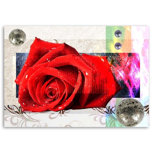 Obraz na plátně Červené květy růží Abstrakt