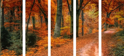 5-dielny obraz les v jesennom období