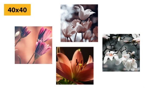 Set obrazov nežnosť kvetov