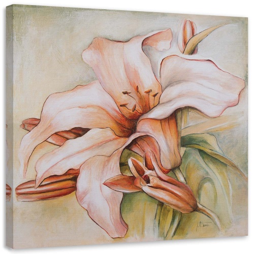 Obraz na plátně Lilie Květina Příroda