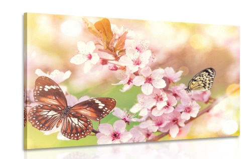 Obraz jarné kvety s exotickými motýľmi