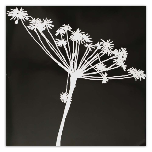 Obraz na plátně Květina Černobílá příroda