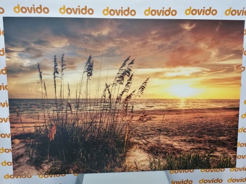 Obraz západ slnka na pláži