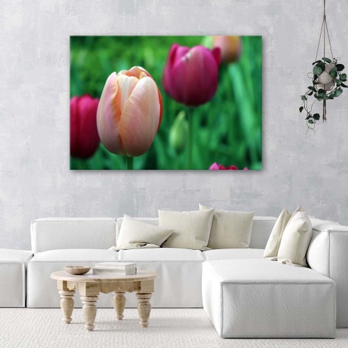 Obraz na plátně Tulipán Růžové květiny