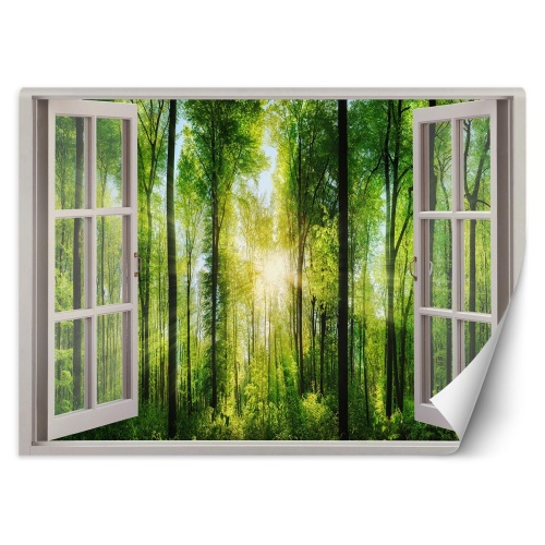 Fototapeta, Pohled z okna na sluneční paprsky v lese