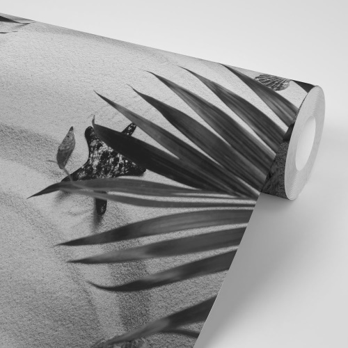 Samolepiaca fototapeta čiernobiele mušle pod palmovými listami