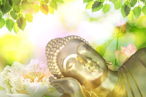 Samolepiaca tapeta spiaci Budha