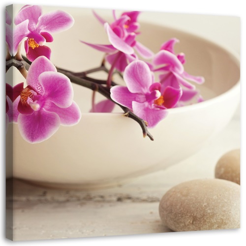 Obraz na plátně Růžové zenové orchideje