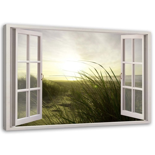 Obraz na plátně Pohled z okna Plážová tráva