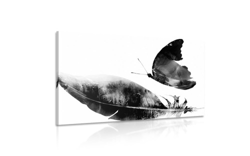 Obraz pierko s motýľom v čiernobielom prevedení
