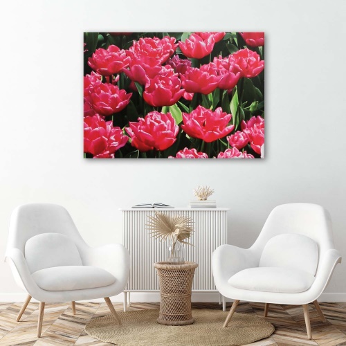 Obraz na plátně Růžové tulipány Květiny