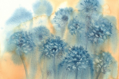 Samolepiaca tapeta modrá púpava v akvarelovom prevedení