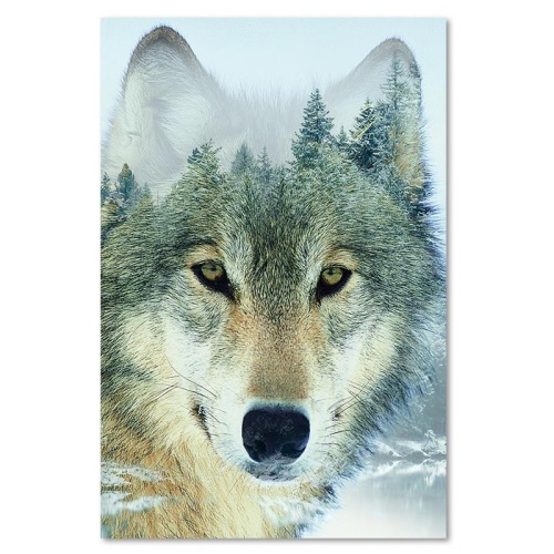 Obraz na plátně, Vlk Zvíře Les Příroda