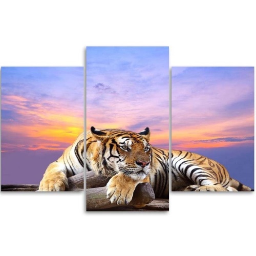 Obraz na plátně třídílný Tygr divoká zvířata