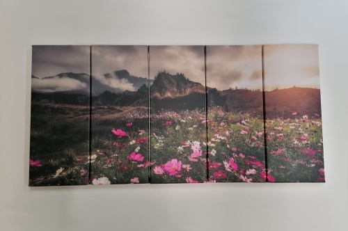 5-dielny obraz lúka kvitnúcich kvetov