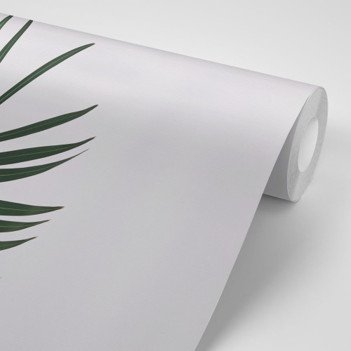 Samolepiaca fototapeta nádherný palmový list