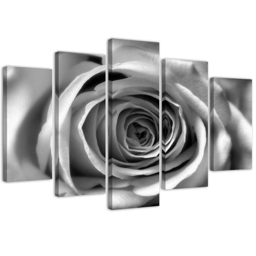 Obraz na plátně pětidílný Květ růže Černá a bílá