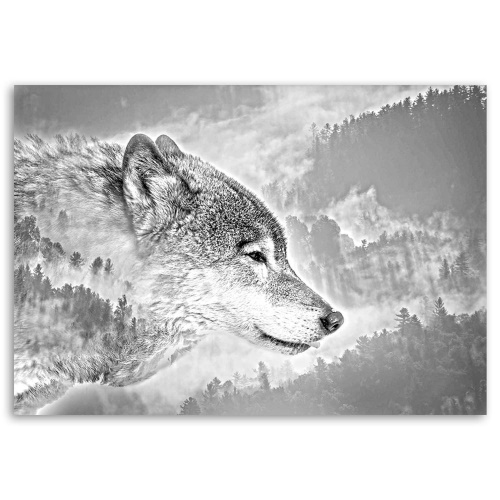 Obraz na plátně Vlk na pozadí lesní přírody