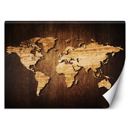 Fototapeta, Mapa světa na dřevě
