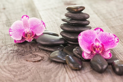Samolepiaca fototapeta orchidea a Zen kamene na dreve
