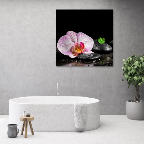 Obraz na plátně, Kvetoucí orchidej zen