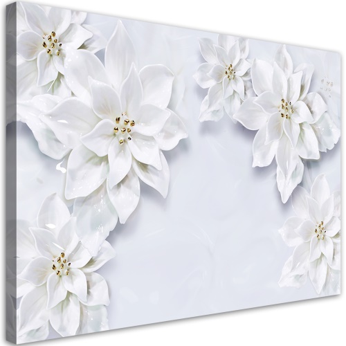 Obraz na plátně, Zasněžené bílé květy rostliny
