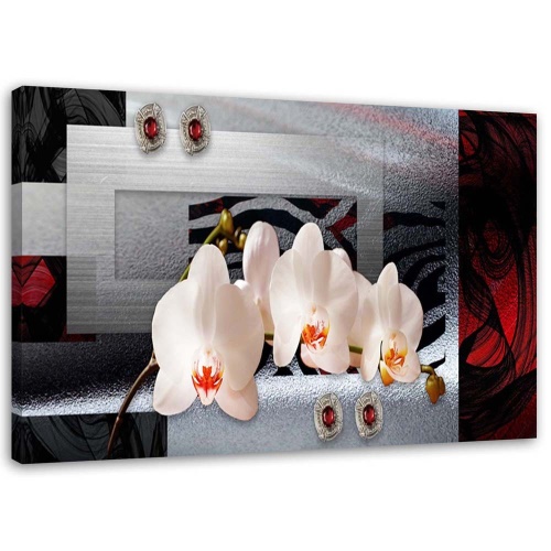 Obraz na plátně Abstraktní orchideje Bílá