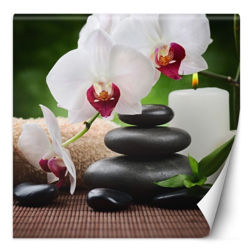Fototapeta, Orchidejová svíčka a zenové kameny v lázních
