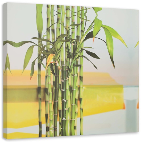 Obraz na plátně Bamboo Leaf Zen Spa