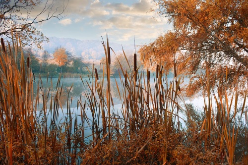 Fototapeta jazero uprostred jesennej prírody