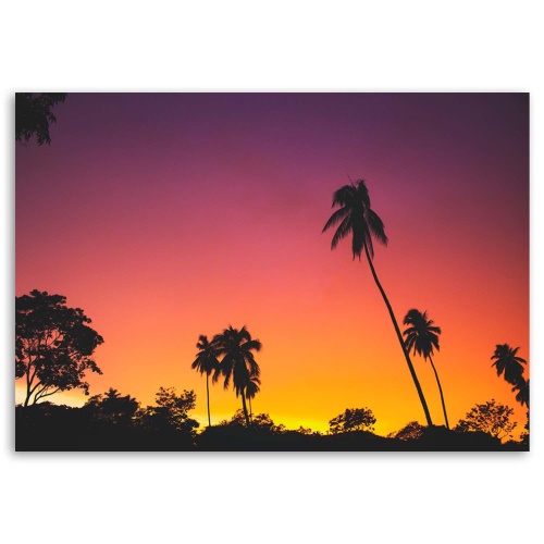 Obraz na plátně Palmy Západ slunce Moře