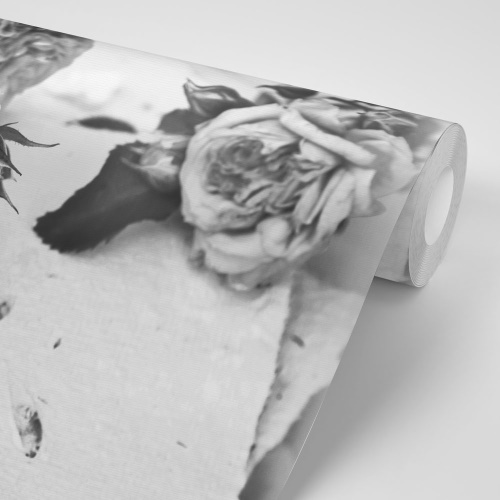 Samolepiaca fototapeta čiernobiele ruže v rozkvete