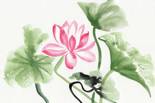 Samolepiaca tapeta akvarelový lotosový kvet