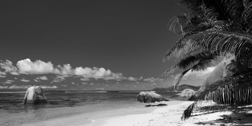 Obraz pláž Anse Source v čiernobielom prevedení
