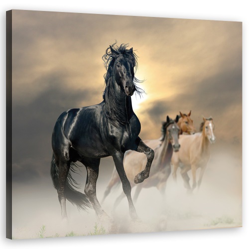 Obraz na plátně, Stádo koní