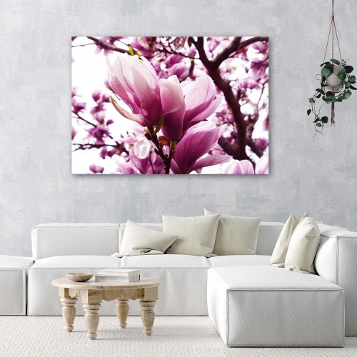 Obraz na plátně Magnolia Tree Pink
