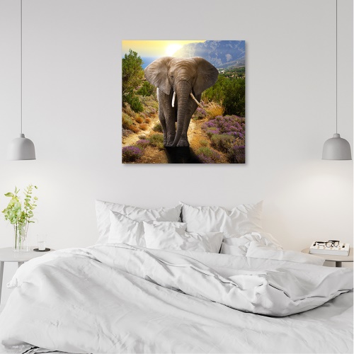 Obraz na plátně, Slon při západu slunce