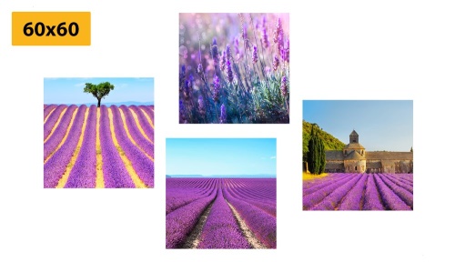 Set obrazov levanduľové pole