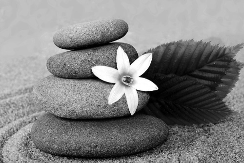Obraz kvet a kamene v piesku v čiernobielom prevedení
