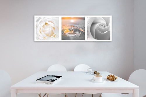 Obraz na plátně, Bílé růže Květiny panoráma