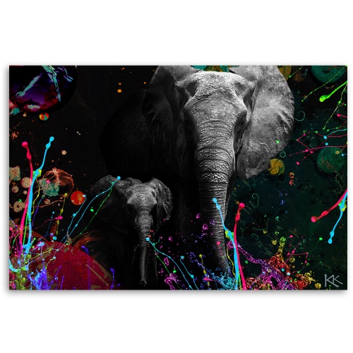 Obraz na plátně, Slon na barevném pozadí