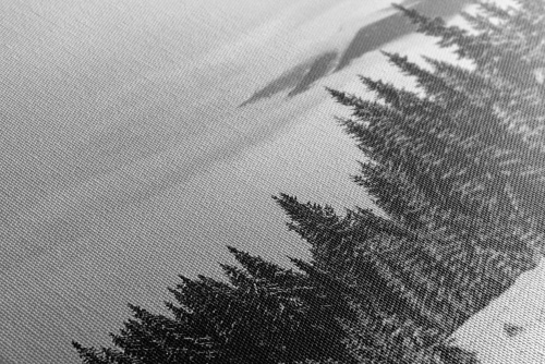 Obraz chalúpka v zasneženej prírode v čiernobielom prevedení